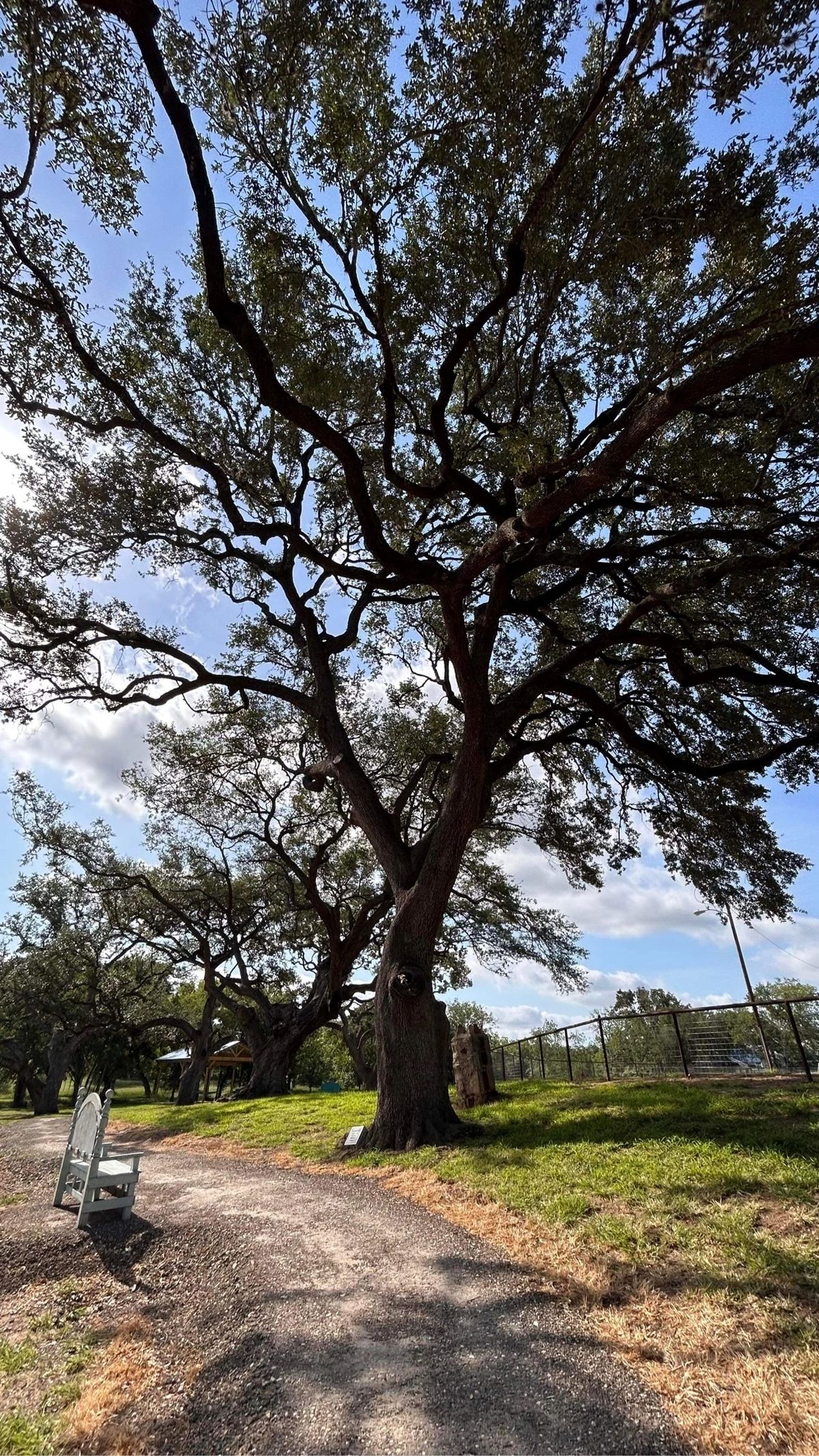 Park view