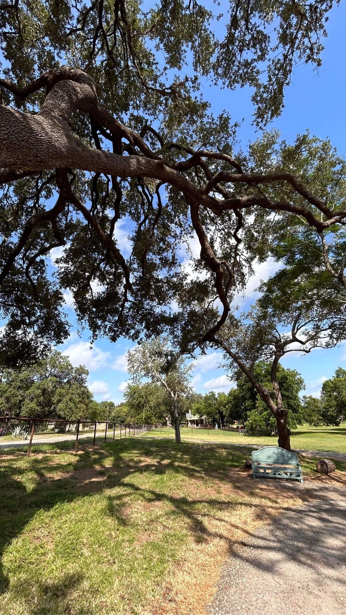 Park view
