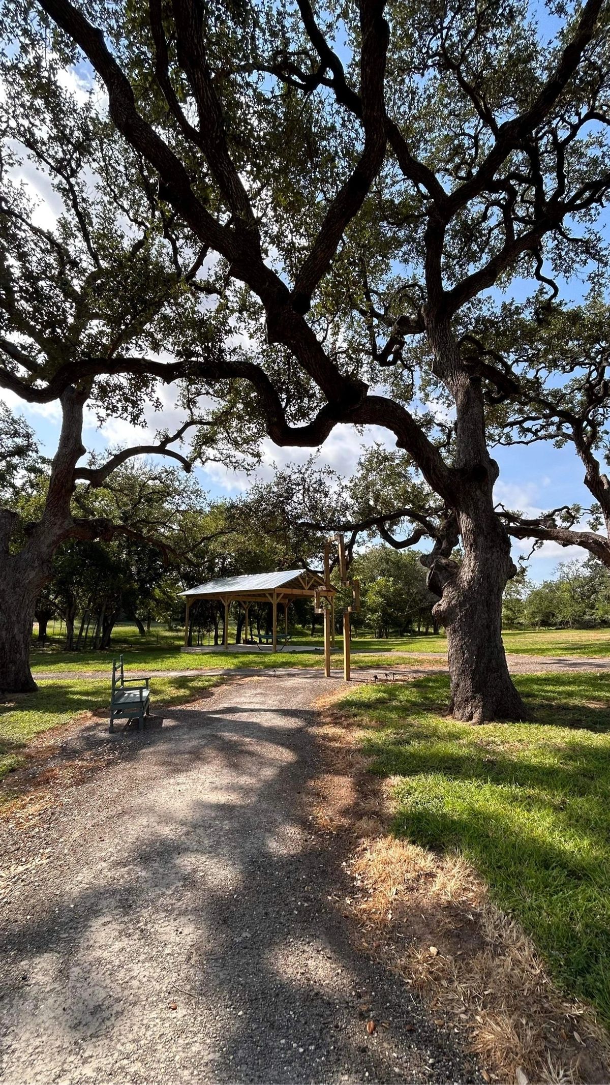 Park view